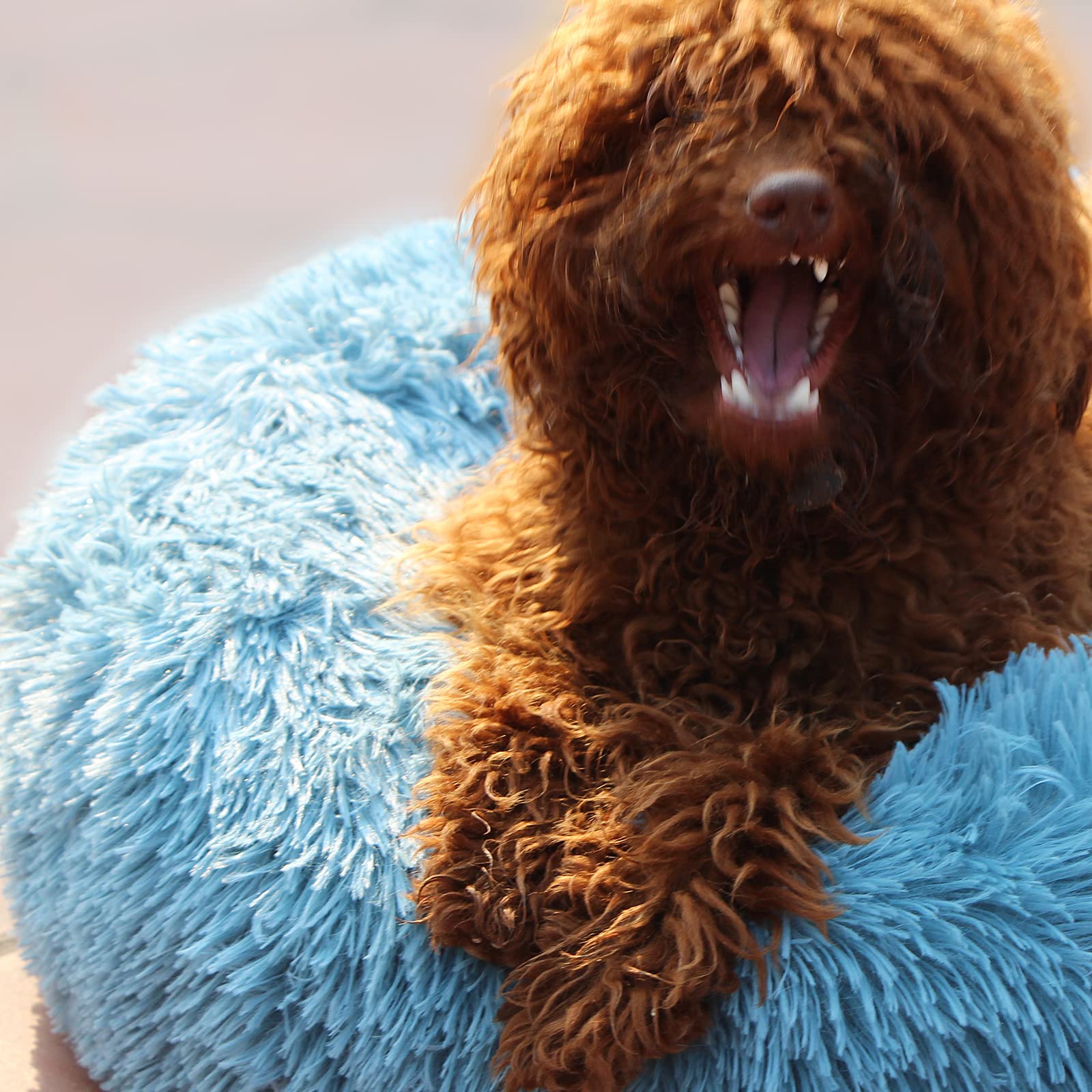 Small Dog Donut Bed - Machine Washable, Calming Blue Pet Bed for Anxious Puppies - Soft Fluffy Faux Fur Cuddler for Small Dogs & Pets - Perfect for Crate Training, Anxiety Relief & Cozy Napping