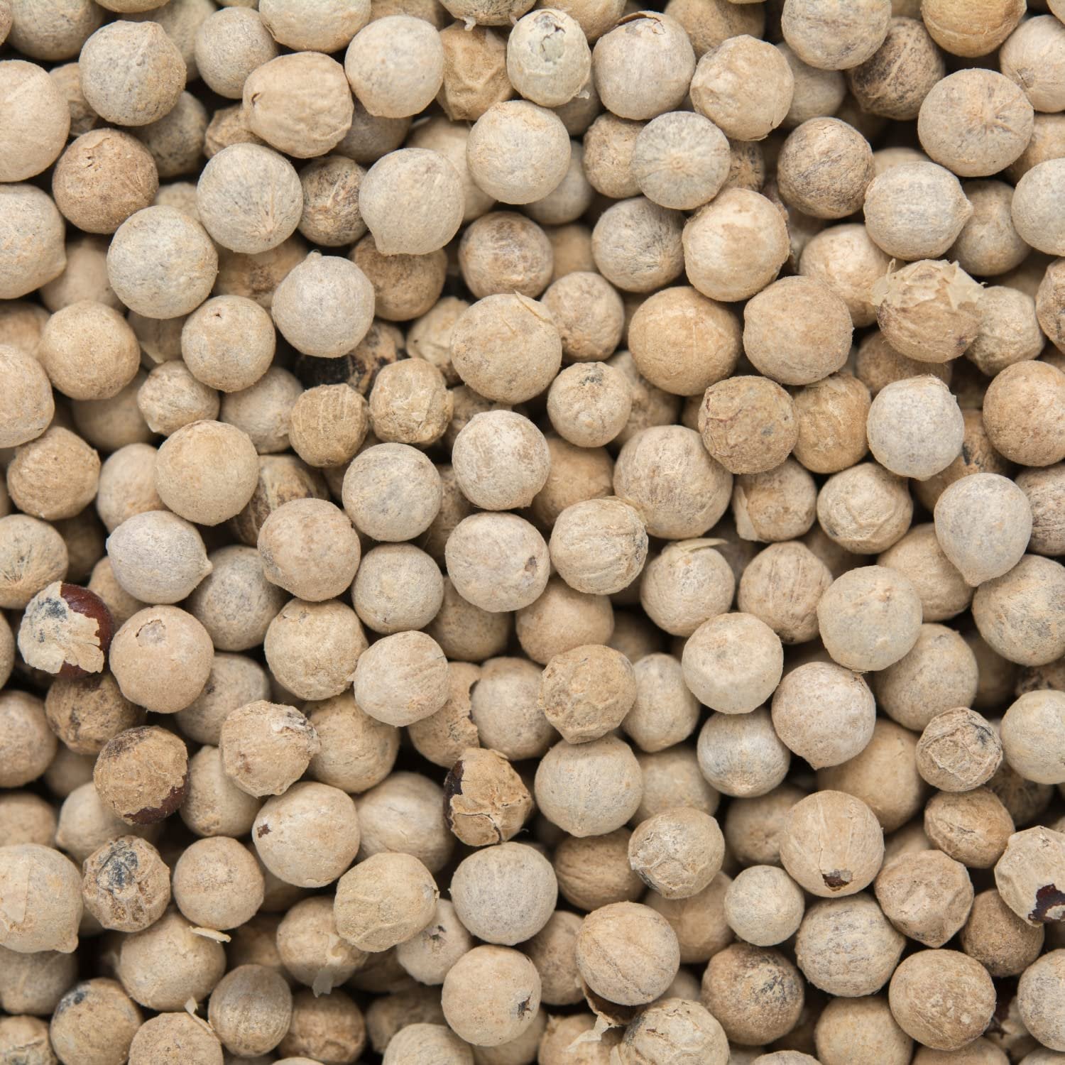 Premium Whole White Peppercorns - 40oz Bulk Size | Fresh & Aromatic Spice for Cooking, Baking & Gourmet Dishes | Perfect for Restaurants, Home Chefs & Food Enthusiasts