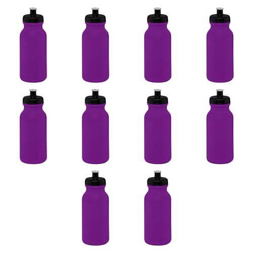 Blank - Purple