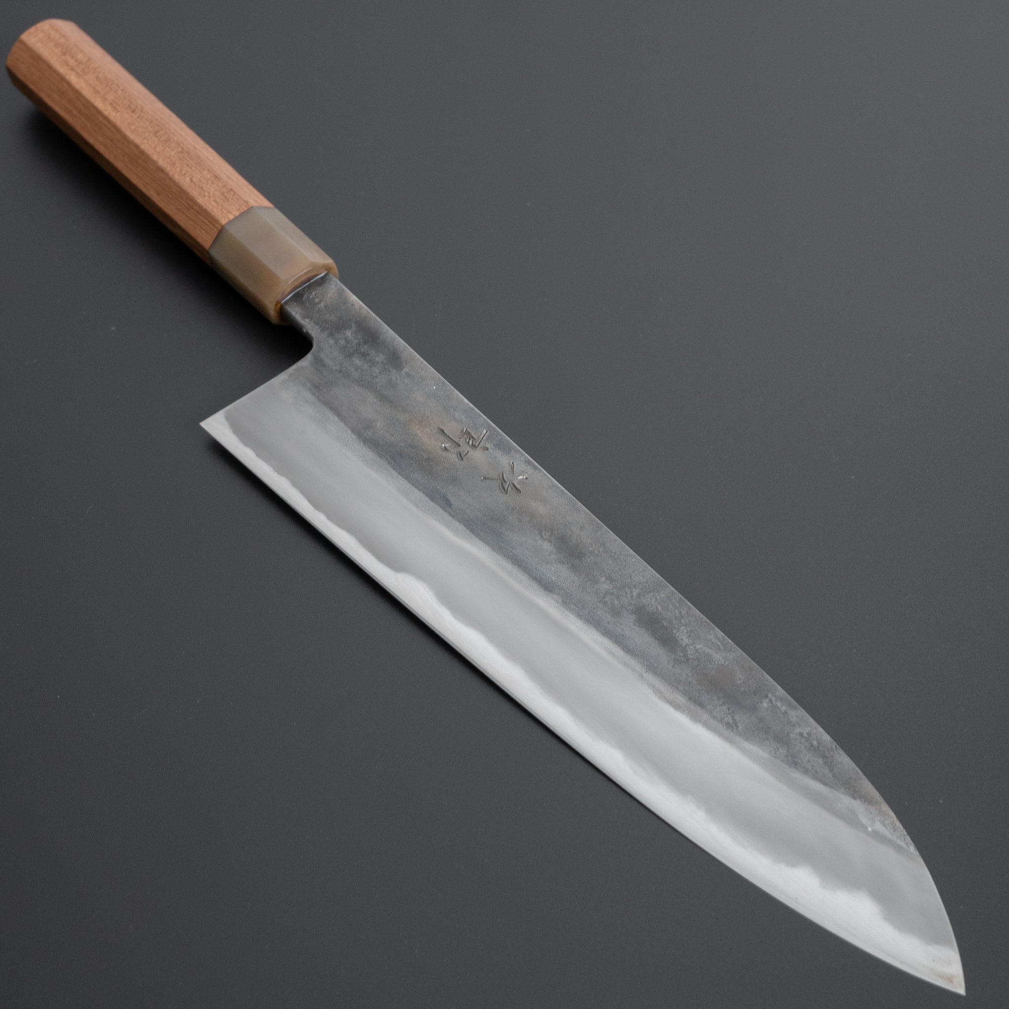 Premium Jiro Tsuchime Wa Gyuto 255mm Japanese Chef Knife with Taihei Tagayasan Handle - Professional Kitchen Tool for Sushi, Meat Cutting & Precision Cooking (#267 Special Offer)