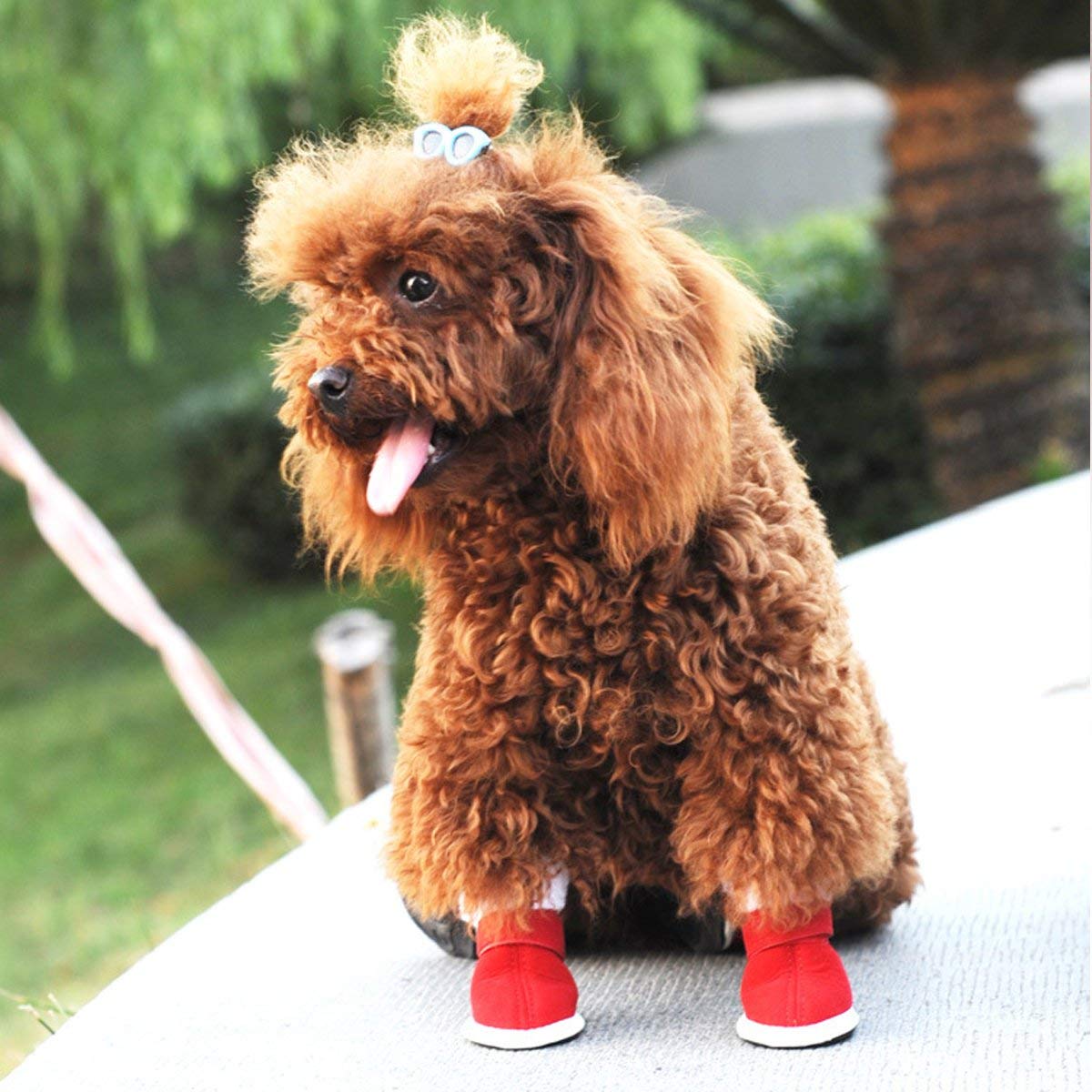 URBEST 2 Pairs Red Christmas Dog Boots with Detachable Closure - Cute Winter Puppy Shoes for Small Medium Dogs (Size 5, Red) - Perfect for Holiday Photos & Snowy Walks