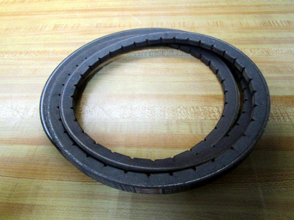 5VX830 Gripnotch V-Belts - 5VX Belt Section, 358 Gripbelt - Heavy Duty Industrial Power Transmission Belts for Machinery, Automotive & Agricultural Equipment