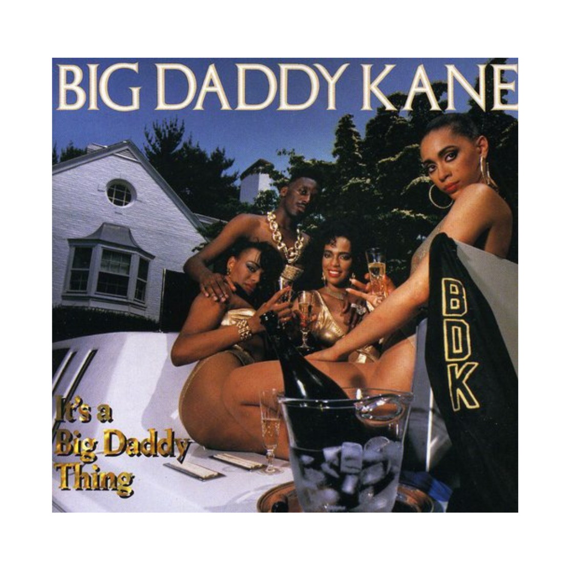 Big Daddy Thing CD - Classic Hip Hop Album for Music Lovers | Perfect for Parties, Workouts & Road Trips