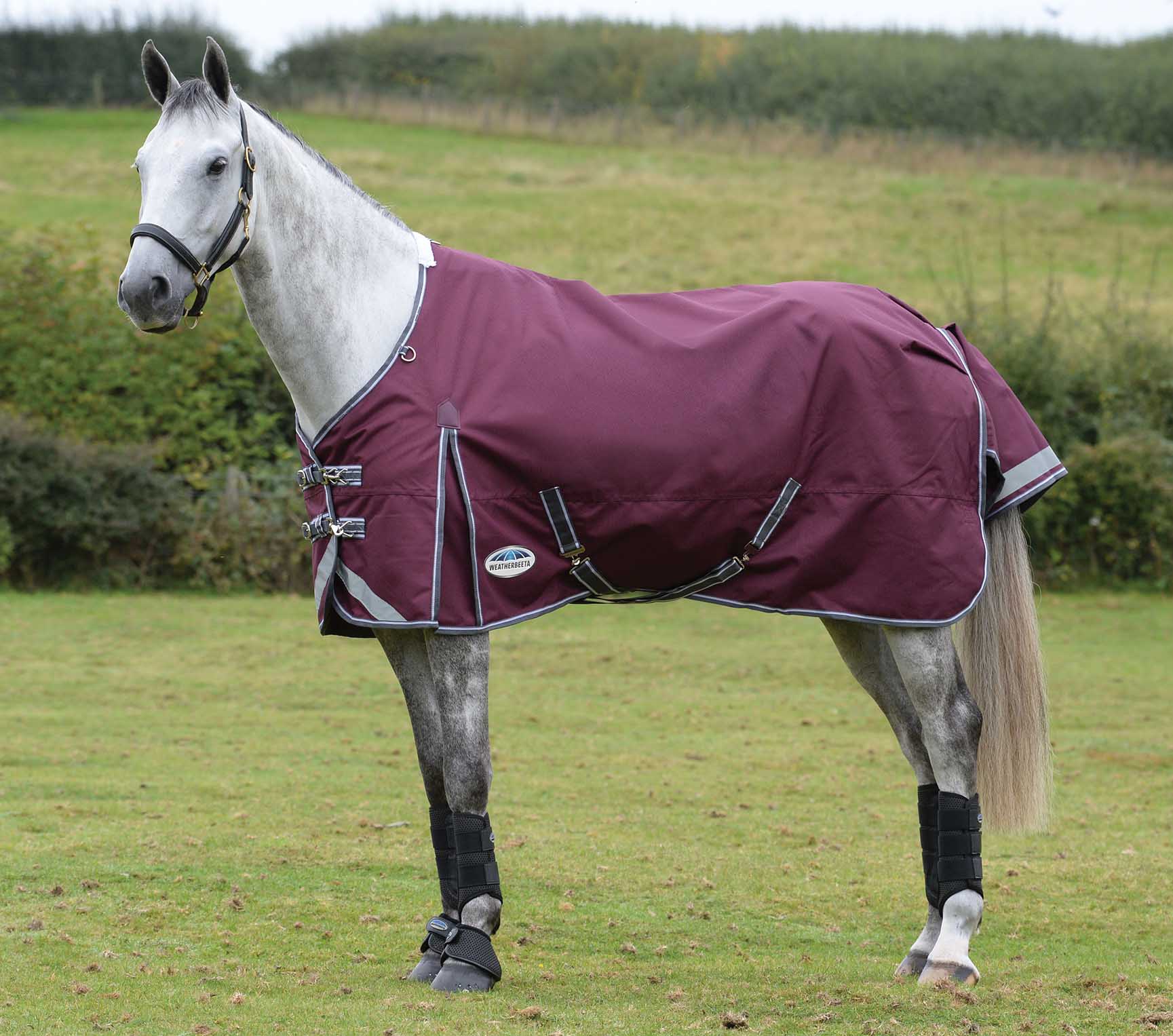 Maroon/Gray/White