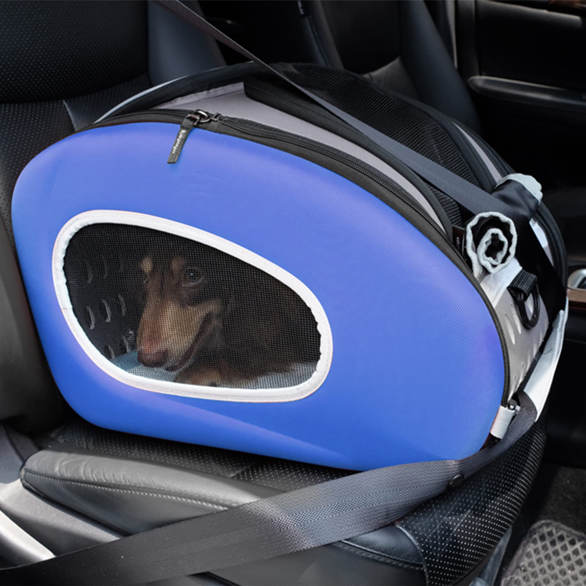 iBiyaya 5-in-1 Convertible Pet Carrier & Stroller for Small Dogs & Cats Under 16lbs - Foldable Travel Carrier, Lightweight Stroller Combo - Perfect for Vet Visits, Shopping & Outdoor Adventures (Blue)