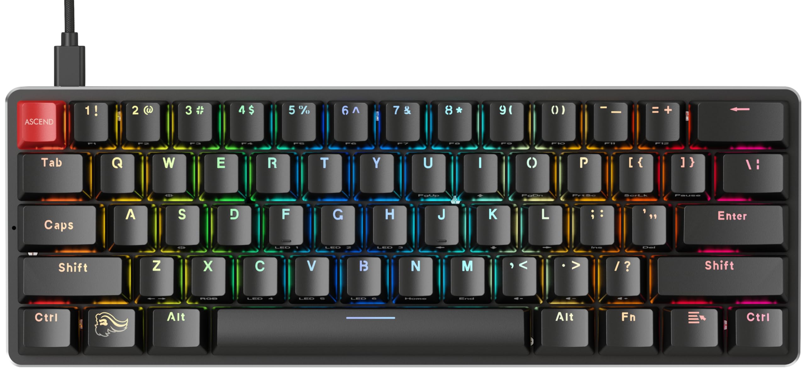 Glorious GMMK Compact 60% Mechanical Gaming Keyboard - Gateron Brown Tactile Switches, Double-Shot Keycaps, RGB Backlit, Customizable, QWERTY US Layout - Black - Perfect for Esports, Office Work & Typing Enthusiasts