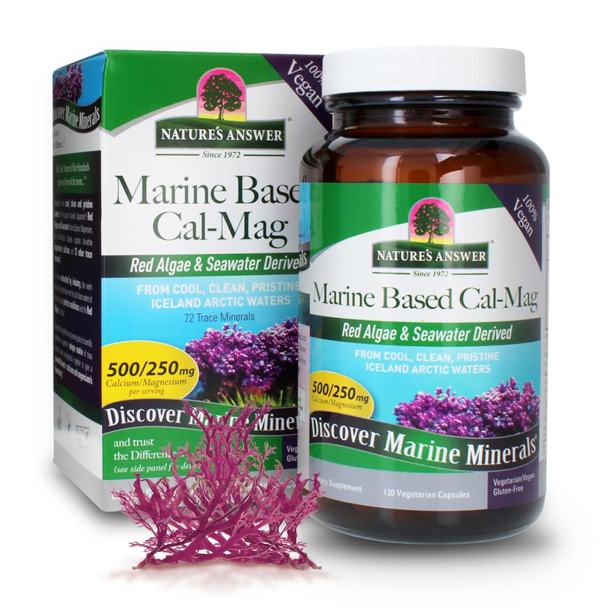 Nature's Answer Calcium Magnesium Capsules 120 Count - Vegan Marine-Based Supplement for Bone Health & Better Sleep - Gluten Free, Non-GMO, Alcohol Free - Supports Joint & Muscle Function for Active Lifestyles