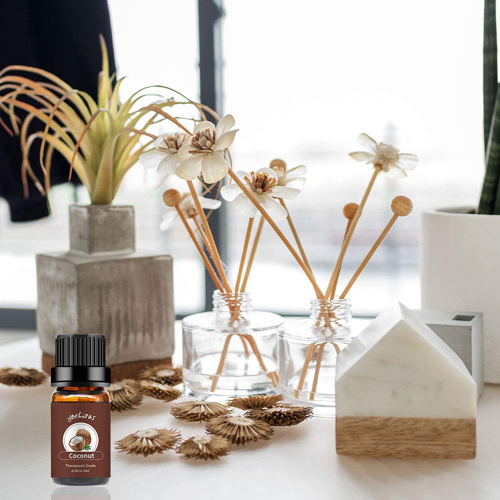 Pure Organic Coconut Essential Oil for Diffuser, Skin, Hair & Massage - 100% Natural Coconut Aromatherapy Oil - 10ml Bottle for Relaxation, Spa & Home Fragrance