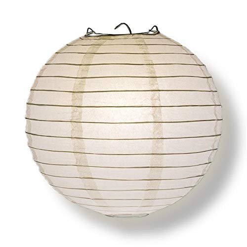 White (25pcs)