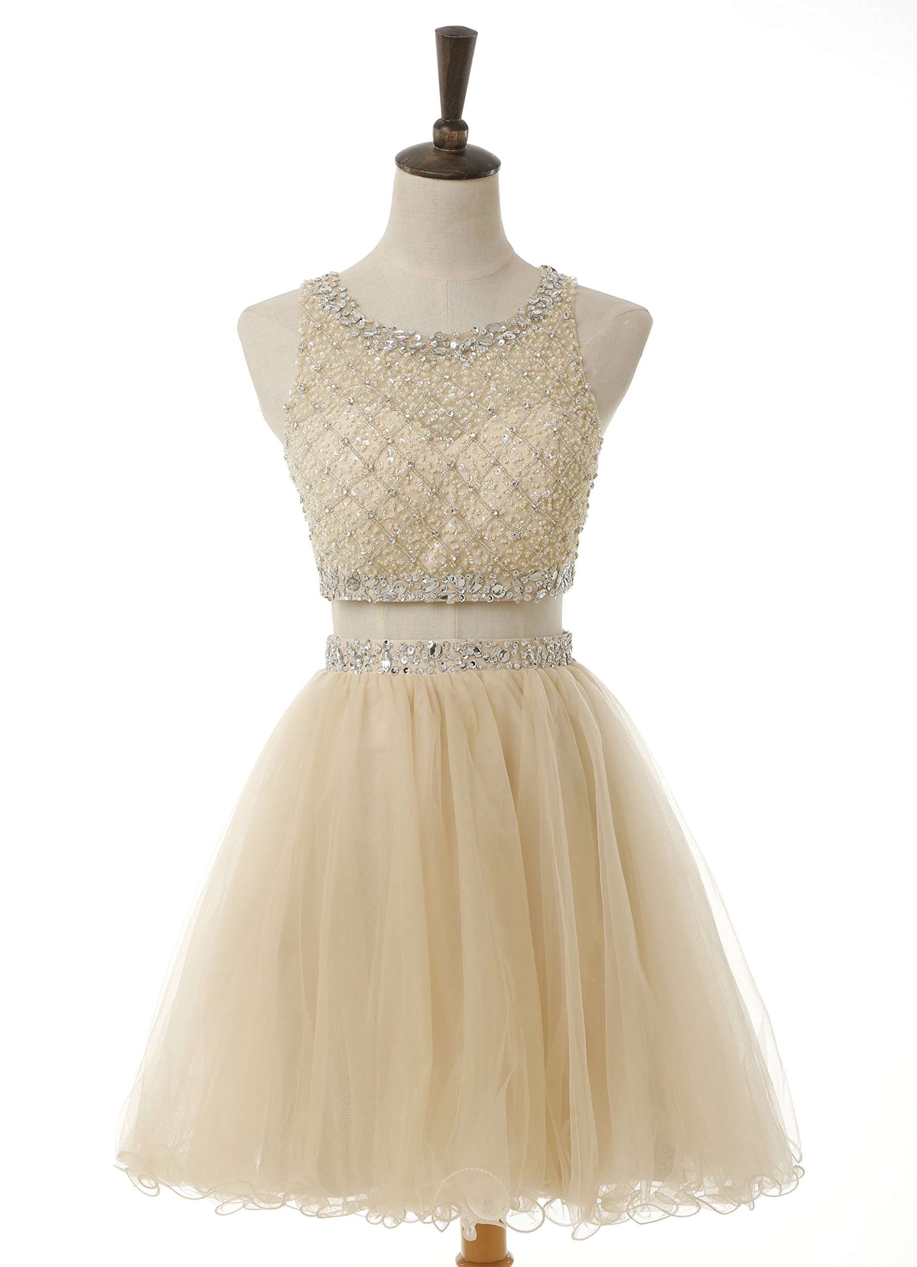 Elegant Short Two-Piece Tulle Prom Dress with Beaded Bodice - Homecoming Party Dress BD077 | Perfect for Prom Night, Homecoming Dance & Special Occasions