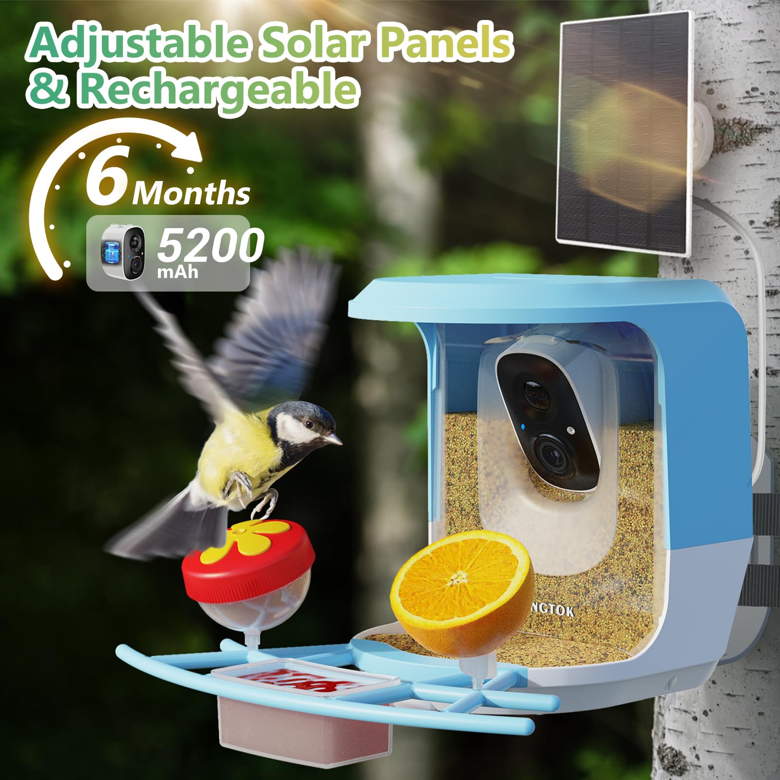 Smart Bird Feeder with Camera - Solar Powered Outdoor Bird Watching House, Full HD AI Recognition & Auto Video Capture - Perfect for Bird Lovers & Wildlife Enthusiasts (Great for Backyard, Garden & Nature Observation)