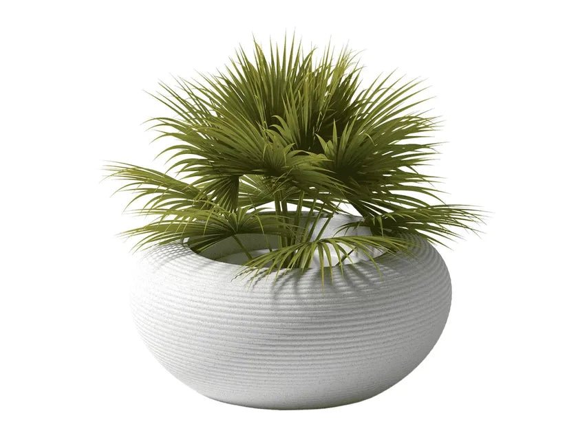 Qeeboo Nami Planter - Modern Whale-Shaped Flower Pot for Indoor Plants, Succulents & Home Decor - Perfect for Living Room, Office & Garden Decorations