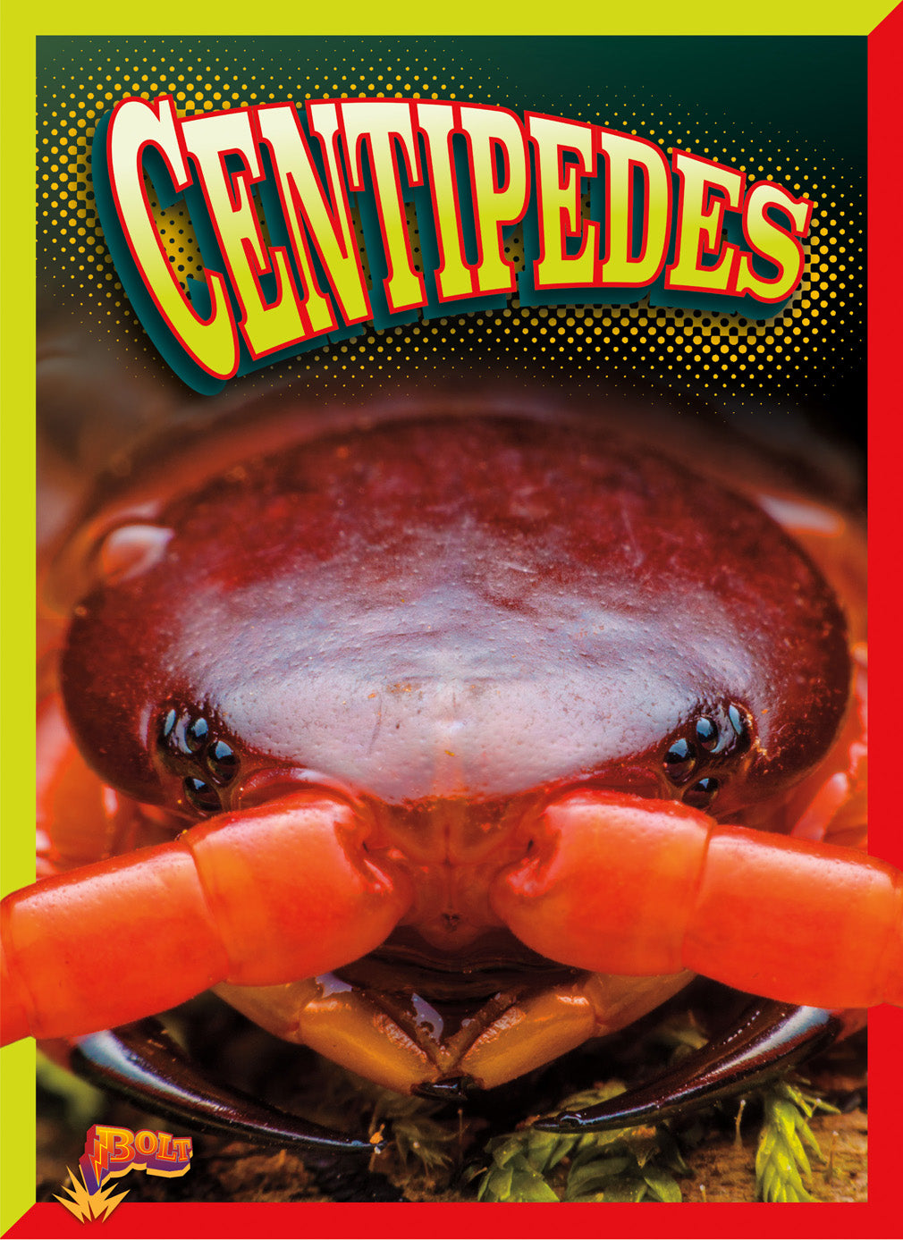 Centipedes: Fascinating Insects - 9781680728095 | Educational Books for Kids, Science Classroom & Nature Lovers