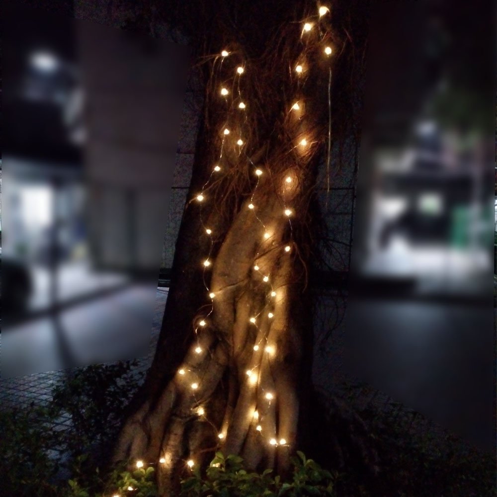 500 LED Starry Fairy Lights - 165ft (50M) Silver Coated Copper Wire String Lights with 12V Power Adapter & Remote Control (Warm White) - Perfect for Bedroom, Wedding, Party, Garden & Outdoor Decoration