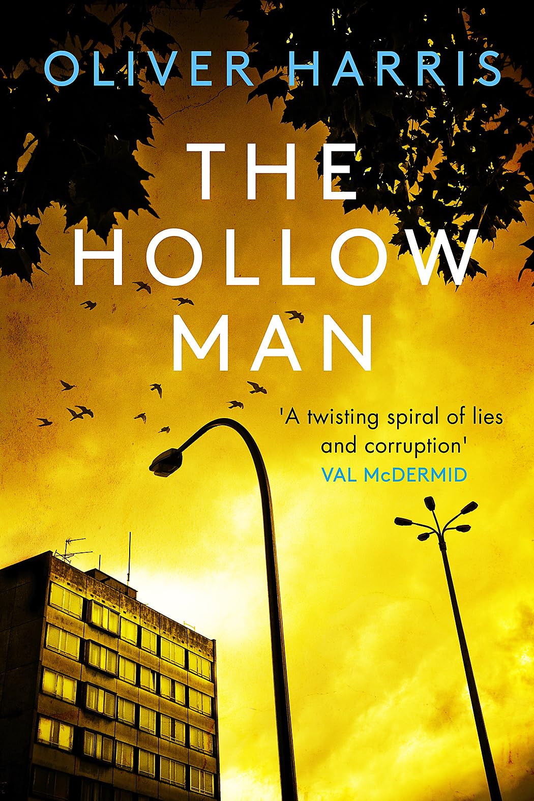 The Hollow Man: A Nick Belsey Novel - Crime Thriller Book for Mystery Lovers | Perfect for Reading at Home, Travel & Book Clubs