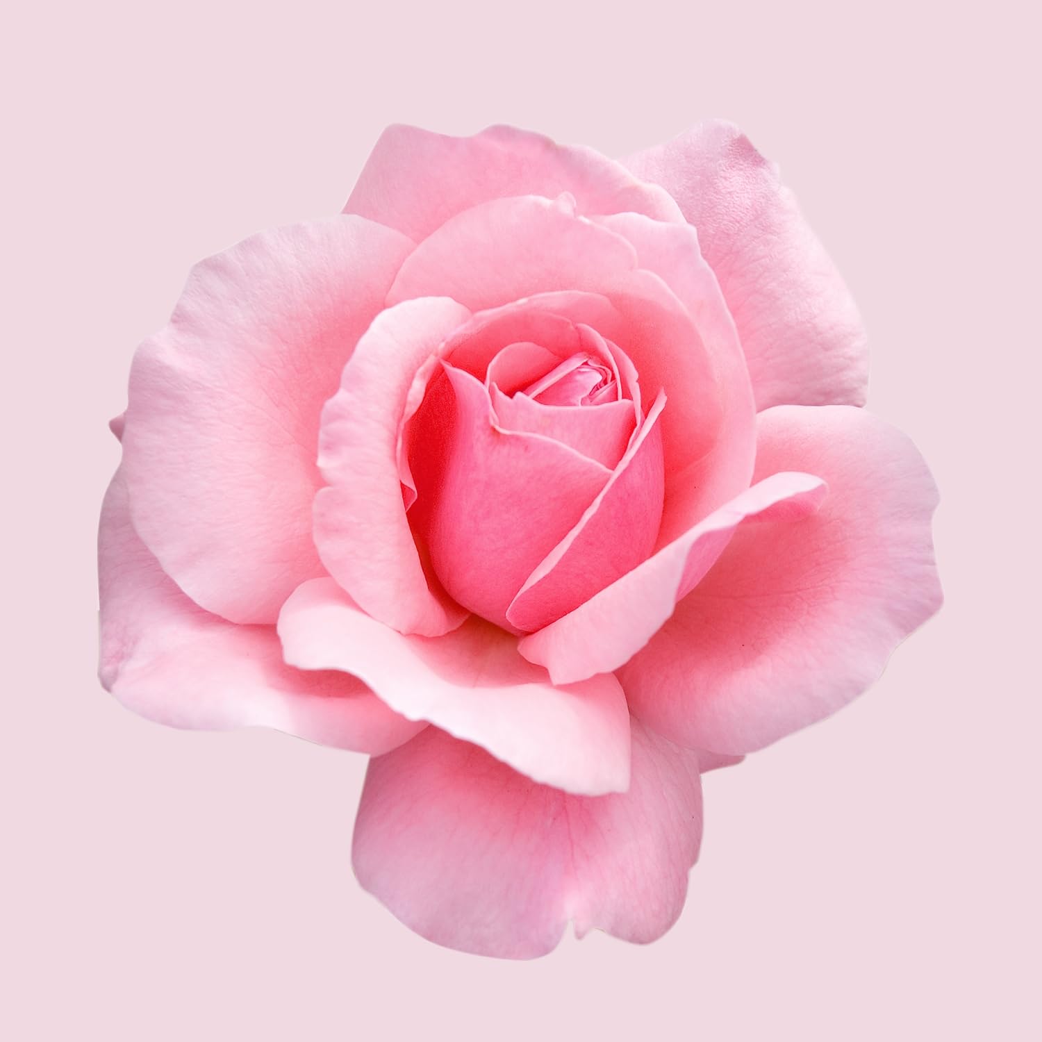 Hugo Boss Ma Vie Eau de Parfum for Women - Floral Perfume with Cactus Blossom, Rose Bud & Cedarwood Notes - Long Lasting Luxury Fragrance - Perfect for Date Night, Office & Special Occasions