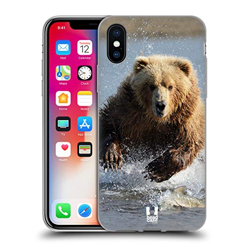 Grizzly Bear Jumping