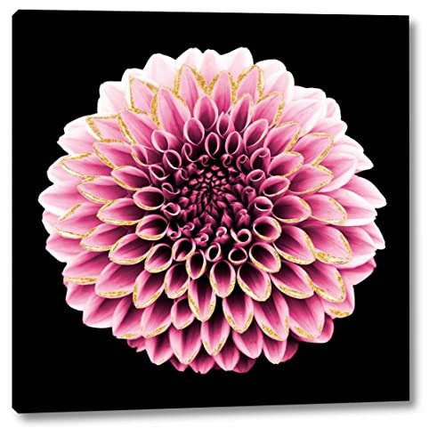 Wrapped Canvas