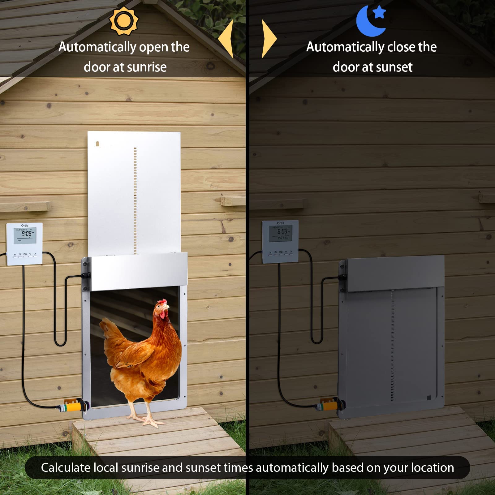 Automatic Chicken Coop Door Opener & Closer with Timer & Safety Sensor - Solar Powered Electric Poultry Door Kit for Hens, Ducks, Birds - Perfect for Backyard Farms, Homesteads & Chicken Coops