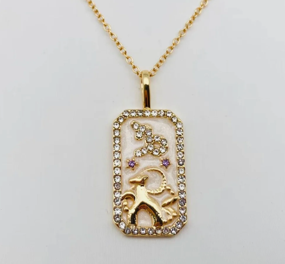 Capricorn Zodiac Sign Tarot Card Pendant Necklace - Perfect for Astrology Lovers & Spiritual Jewelry Gifts
