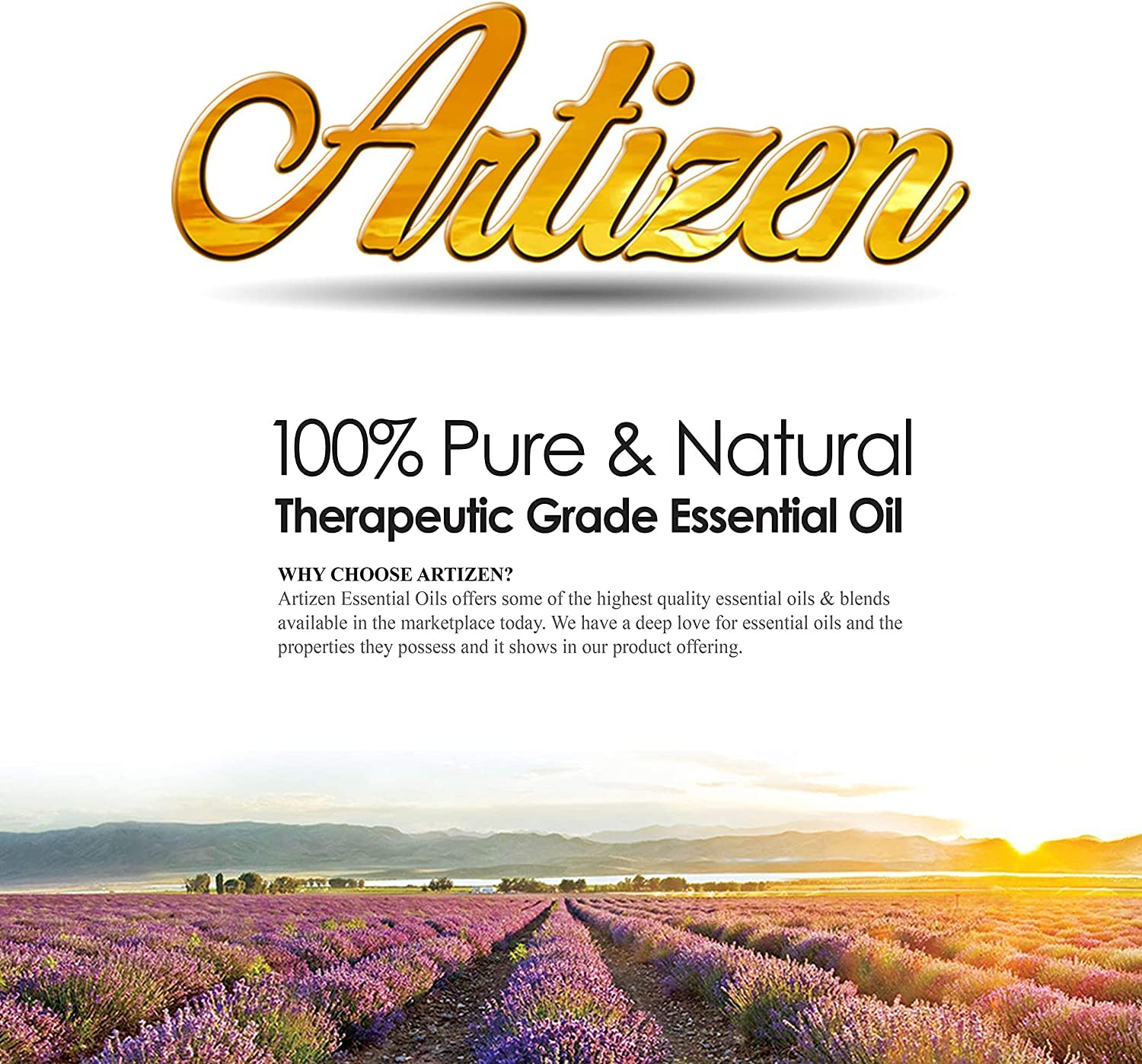 Artizen 30ml Allspice Essential Oil - 100% Pure Therapeutic Grade Aromatherapy Oil for Diffusers, Massage & DIY Skincare (1 Fl Oz) - Relaxation, Stress Relief & Home Fragrance