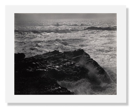 Edward Weston Photography Book - Point Lobos Landscape Art Collection | Perfect for Photography Enthusiasts & Home Decor