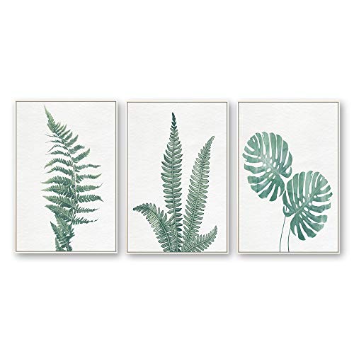 Plants-1909-n12