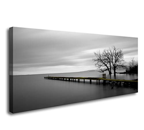 Lake Trees
