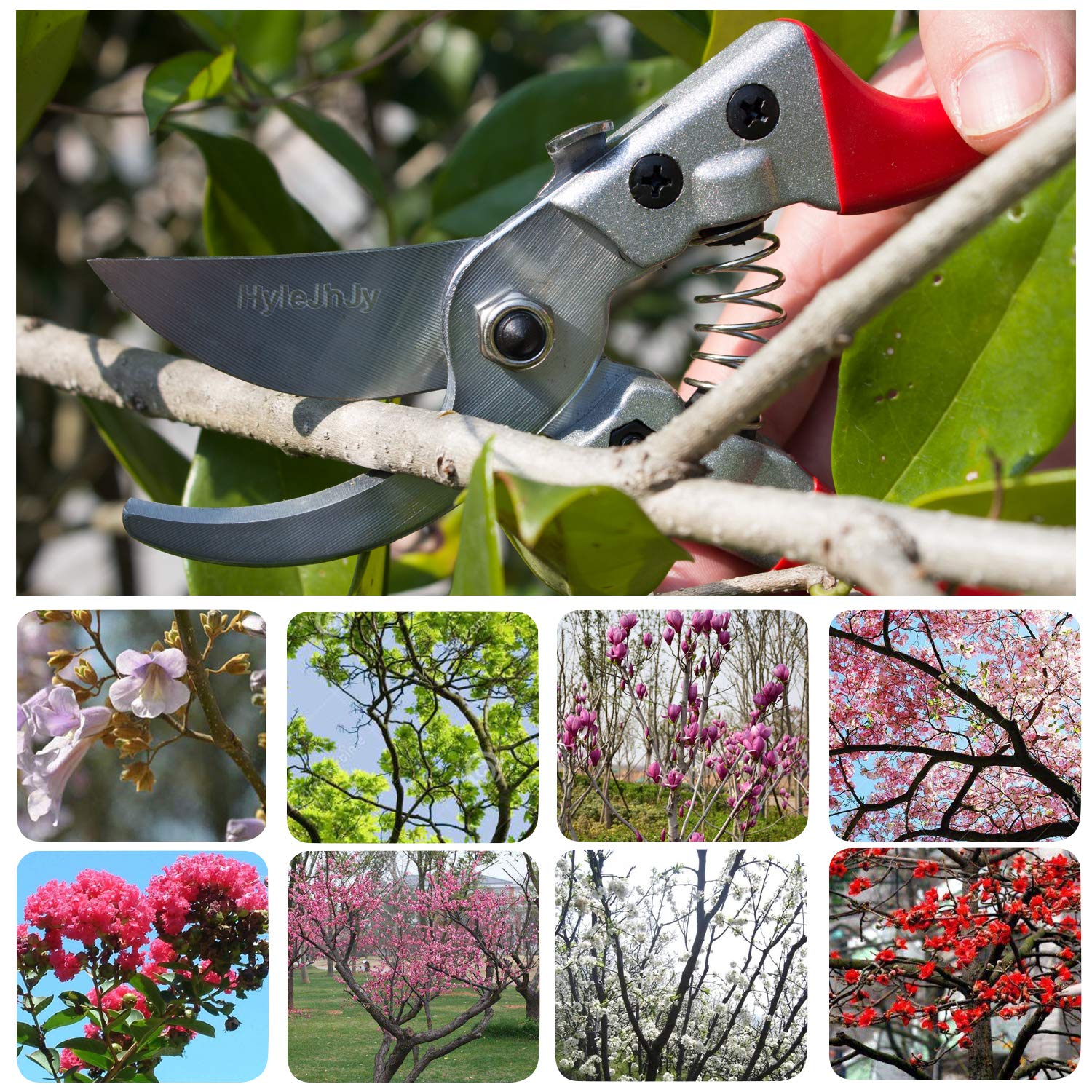 Premium Stainless Steel SK5 Pruning Shears - Straight Tip Garden Shears, Florist Scissors & Hand Pruners for Trimming Plants, Flowers, and Shrubs | Ideal for Gardening, Landscaping, and Floral Arrangements