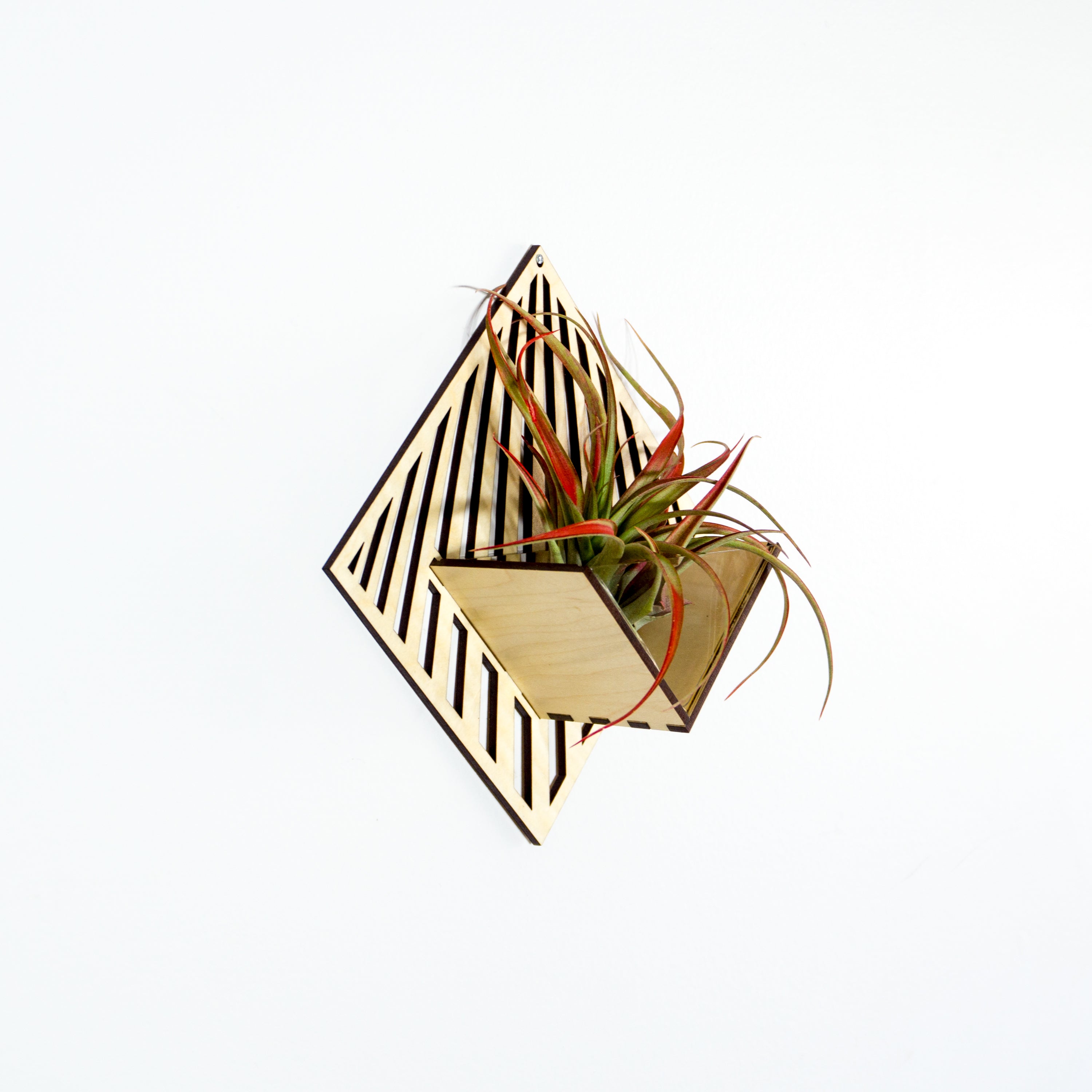 Handmade Wooden Quadrate Wall Planter - Air Plant Holder & Mounted Hanger Display for Tillandsia | Unique Home Decor Gift for Plant Lovers | Perfect for Living Room, Bedroom & Office Decor