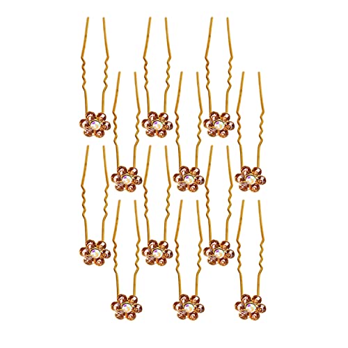 Silver 12 pc