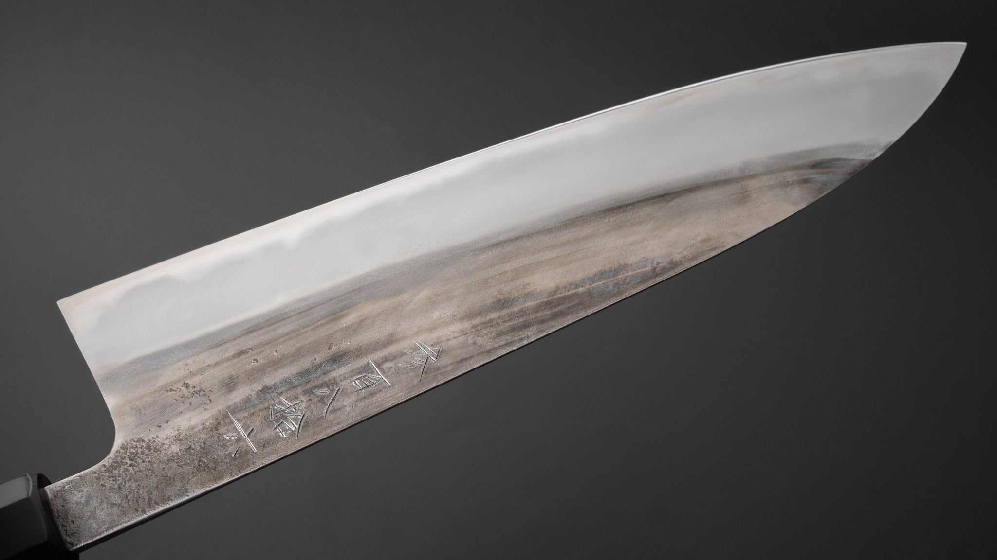 Premium Jiro Tsuchime Wa Gyuto 240mm Japanese Chef Knife with Taihei Tagayasan Handle - Perfect for Sushi, Meat Cutting & Professional Kitchen Use
