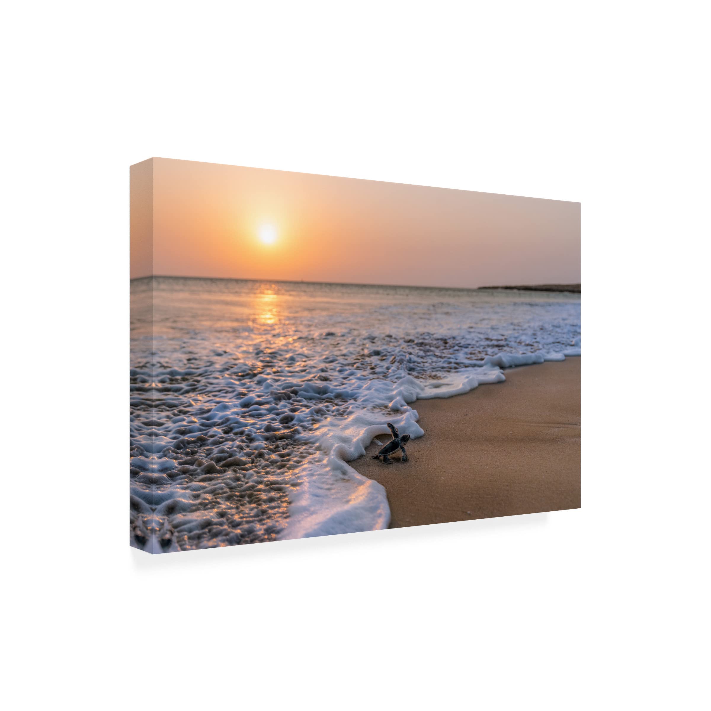 Trademark Fine Art 'Green Turtle' Canvas Wall Art by Haitham AL Farsi - Perfect for Beach House Decor, Ocean Theme Living Room & Coastal Bedroom Design