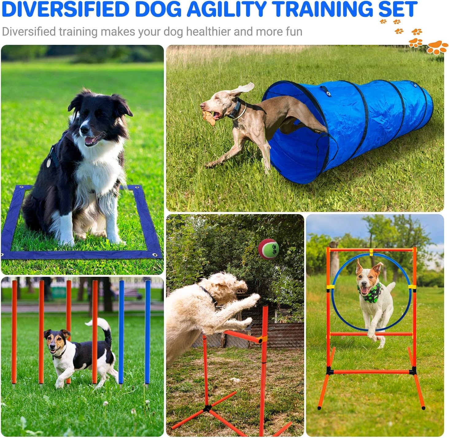 IKARE Dog Agility Training Kit - 70