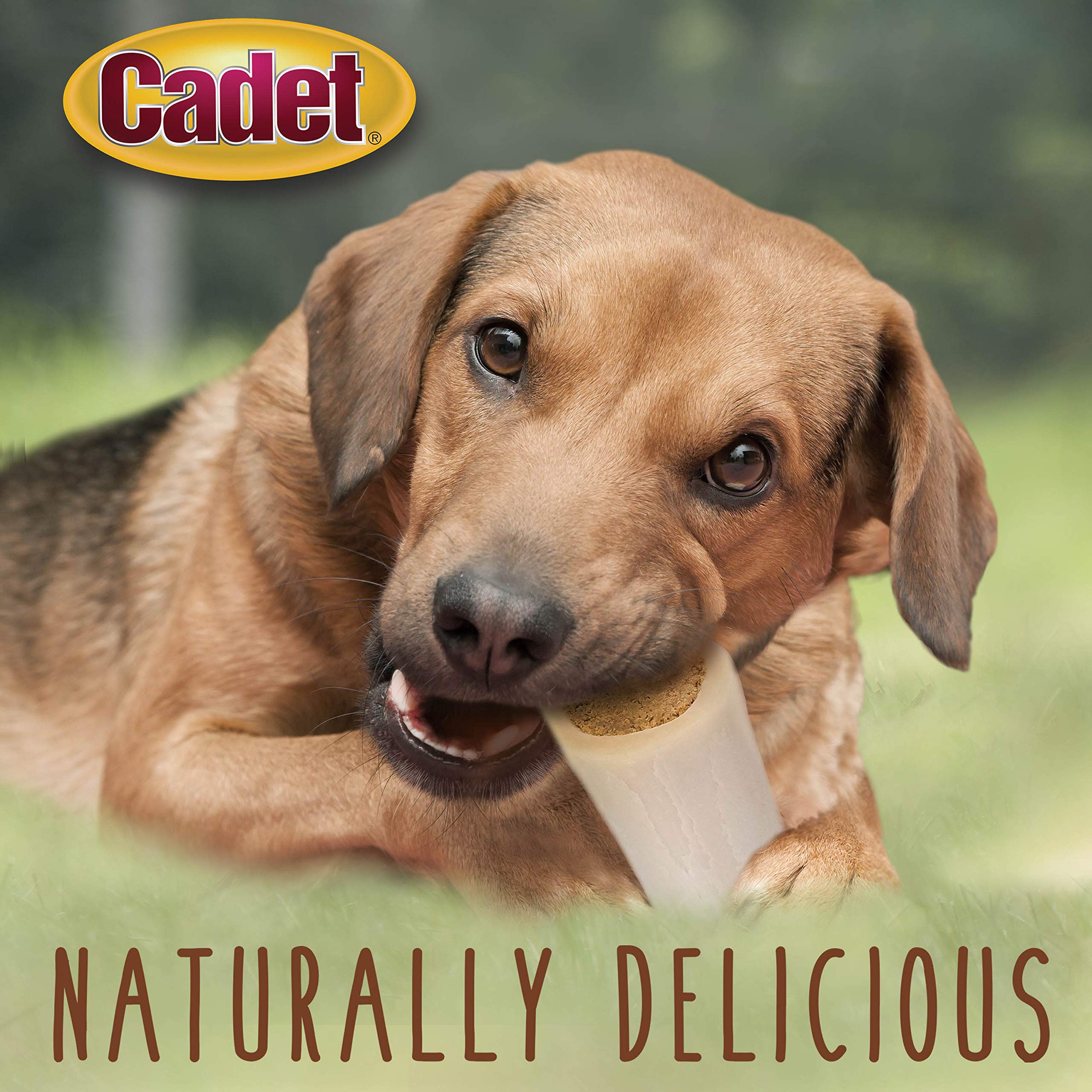 **Premium Double Stuffed Shin Bone for Dogs - Highly Digestible, Long-Lasting Dog Chew for Aggressive Chewers - High Protein Dental Treat with Bacon & Cheese Flavor - Small (1 Count) - Perfect for Training, Teething & Dental Care**