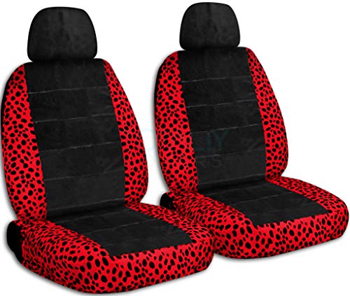 Ladybug & Black