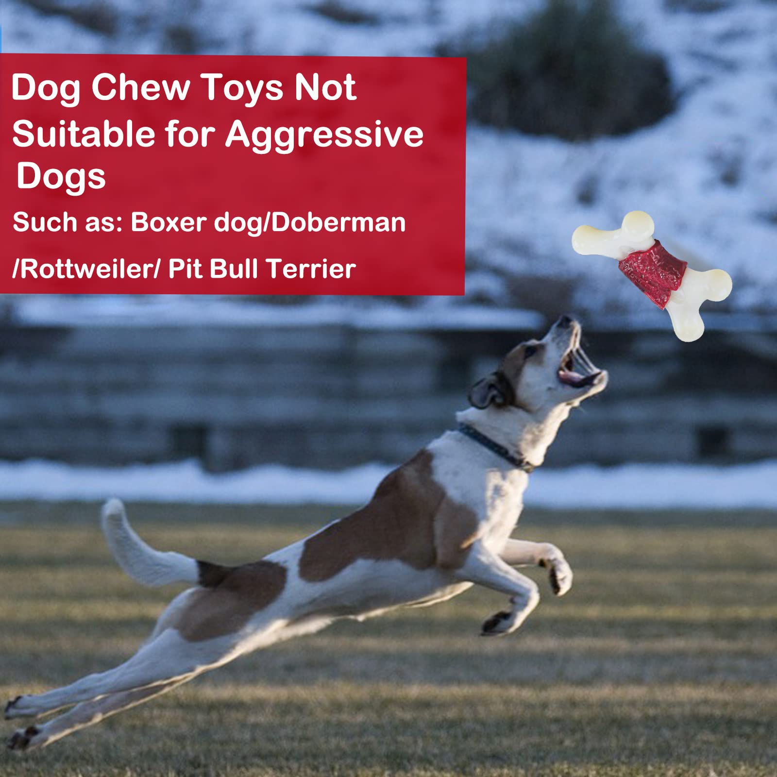 Indestructible Alligator Dog Chew Toys for Aggressive Chewers - Milk Flavor - Large Breed Playtime