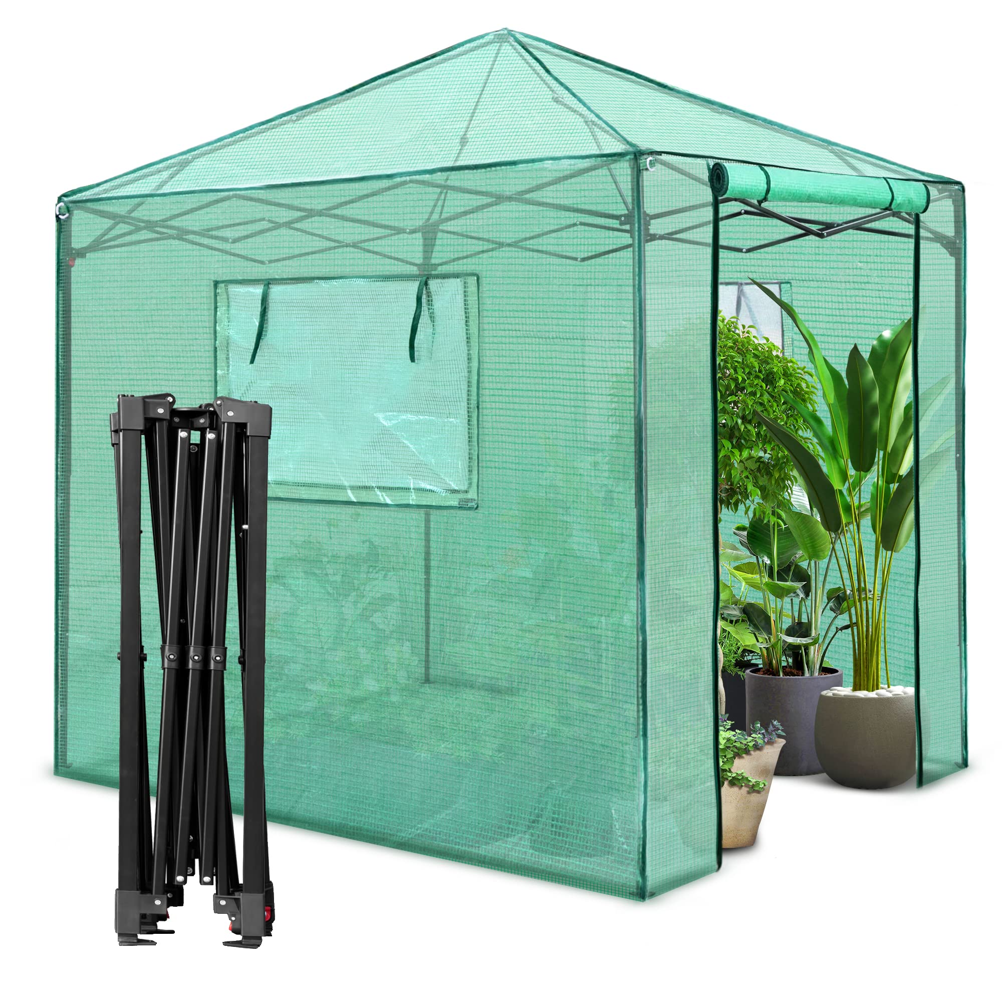 PexFix 8'x8' Portable Walk-in Greenhouse for Indoor & Outdoor Gardening - Easy Setup Pop-Up Greenhouse with 2 Roll-Up Mesh Windows & Zippered Door - Perfect for Seed Starting, Plant Protection & Year-Round Growing (Green, Model A-GE06016)