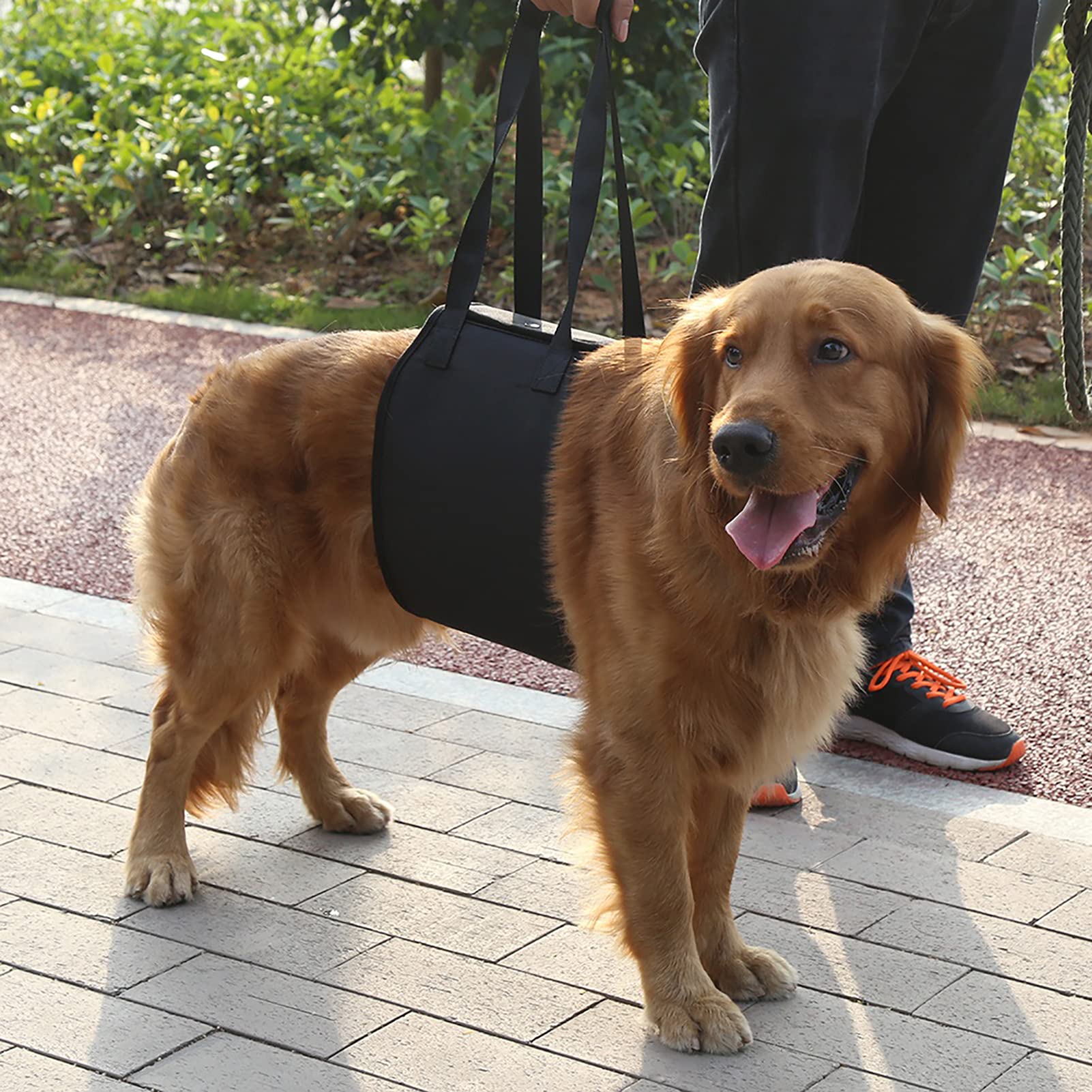 **Dog Lift Harness - Adjustable & Non-Slip Support for Small to Large Dogs - 4 Sizes - Easy to Use Pet Mobility Aid - Ideal for Post-Surgery, Arthritis & Senior Dog Care - Perfect for Walks, Vet Visits & Rehabilitation**