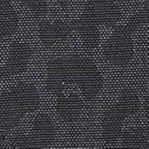 Black Cheetah