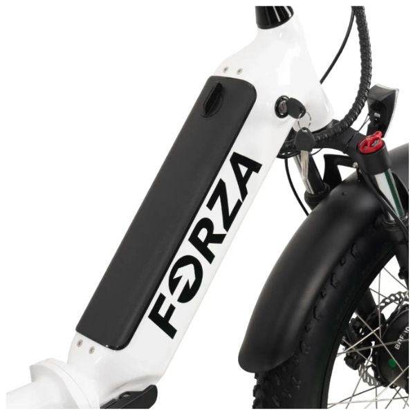 Go Bike FORZA Electric Tricycle for Adults - 500W Motor, 20MPH, 48V 15Ah Battery - Commuter, Leisure & Grocery Shopping E-Bike