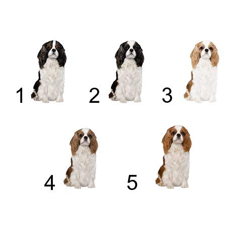 Cavalier King Charles Spaniel Dog ID Badge Holder - Retractable Lanyard with Multiple Color Options | Perfect for Vet Visits, Dog Parks & Pet-Friendly Workplaces