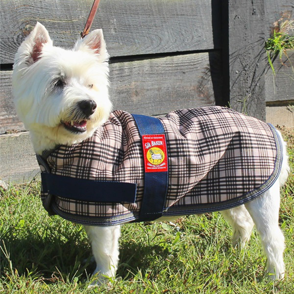 5-Pack Cozy Dog Blankets for Bakers - Soft & Warm Pet Blankets for Small, Medium & Large Dogs - Perfect for Beds, Couches & Travel Use