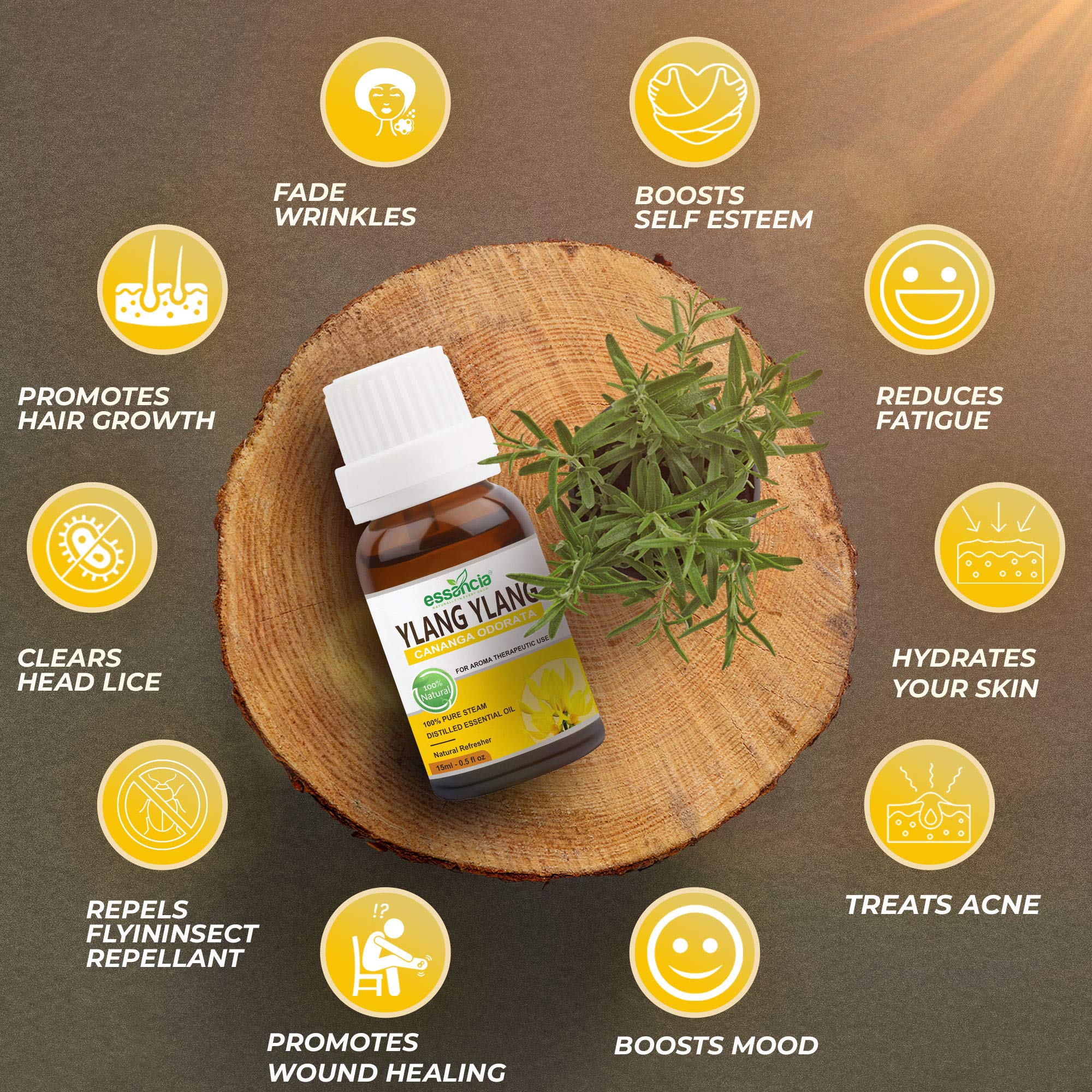 Pure Ylang Ylang Essential Oil - 100% Natural Undiluted Therapeutic Grade for Skin Care, Hair Growth, Aromatherapy & Relaxation | Face, Body, Diffuser Use | Promotes Sleep & Boosts Immunity (30ml) - Perfect for Spa, Massage & Home Wellness