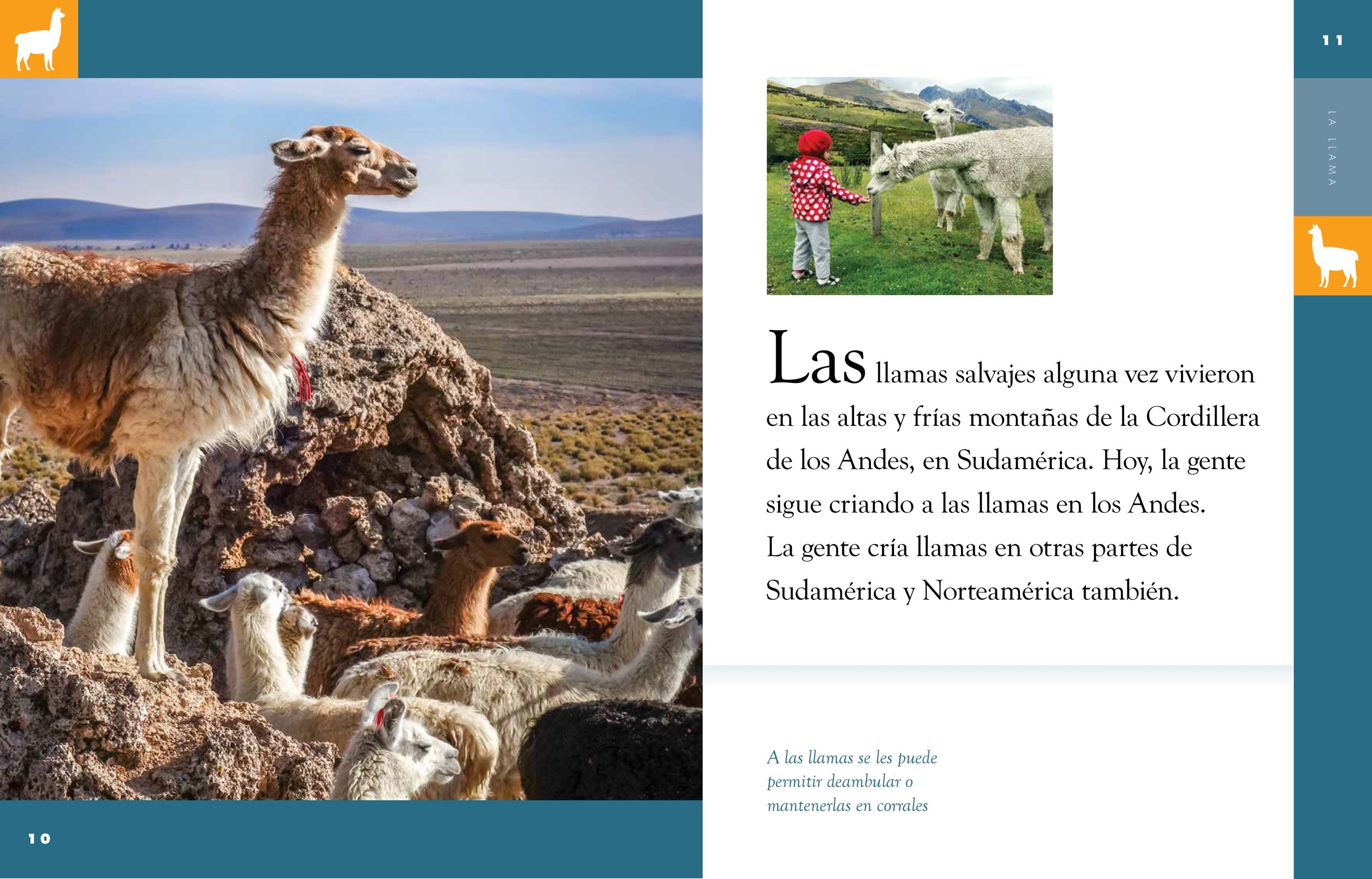 La Llama - 9781640260993 | Fun and Educational Book for Kids | Perfect for Storytime and Learning About Animals