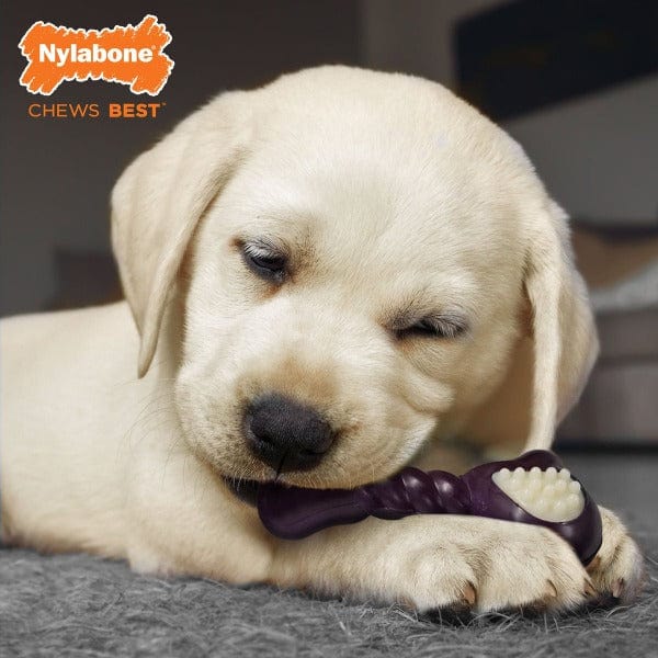 Nylabone Double Action Puppy Chew Toy for Teething - Durable Dog Bone for Small & Medium Breeds - Perfect for Puppy Training & Dental Health