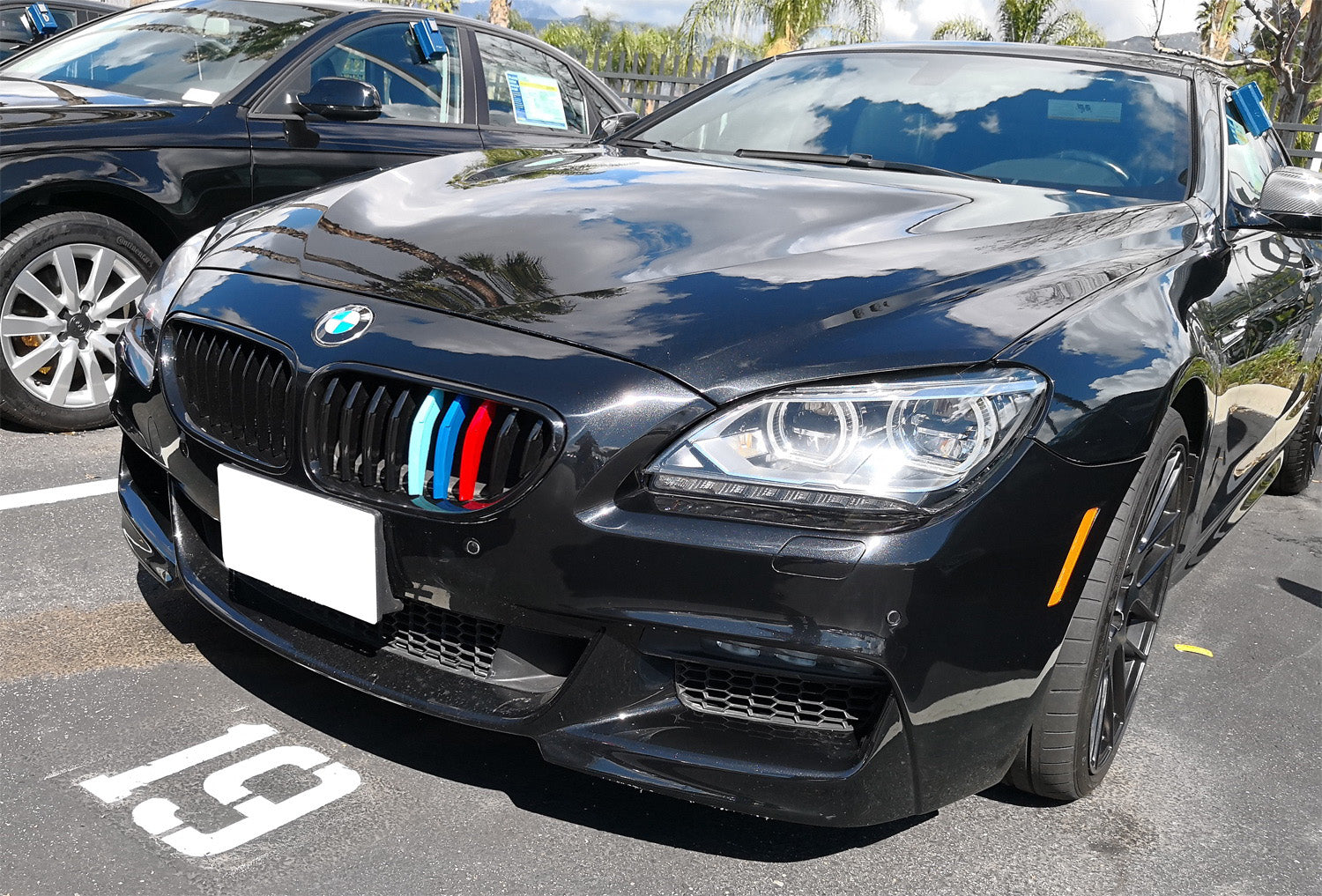 BMW F12 F13 6 Series 640i 650i Coupe ///M Color Grille Insert Trims (2016-2018) - Front Bumper Upgrade for Enhanced Sporty Look - Perfect for Car Enthusiasts & Show Car Modifications
