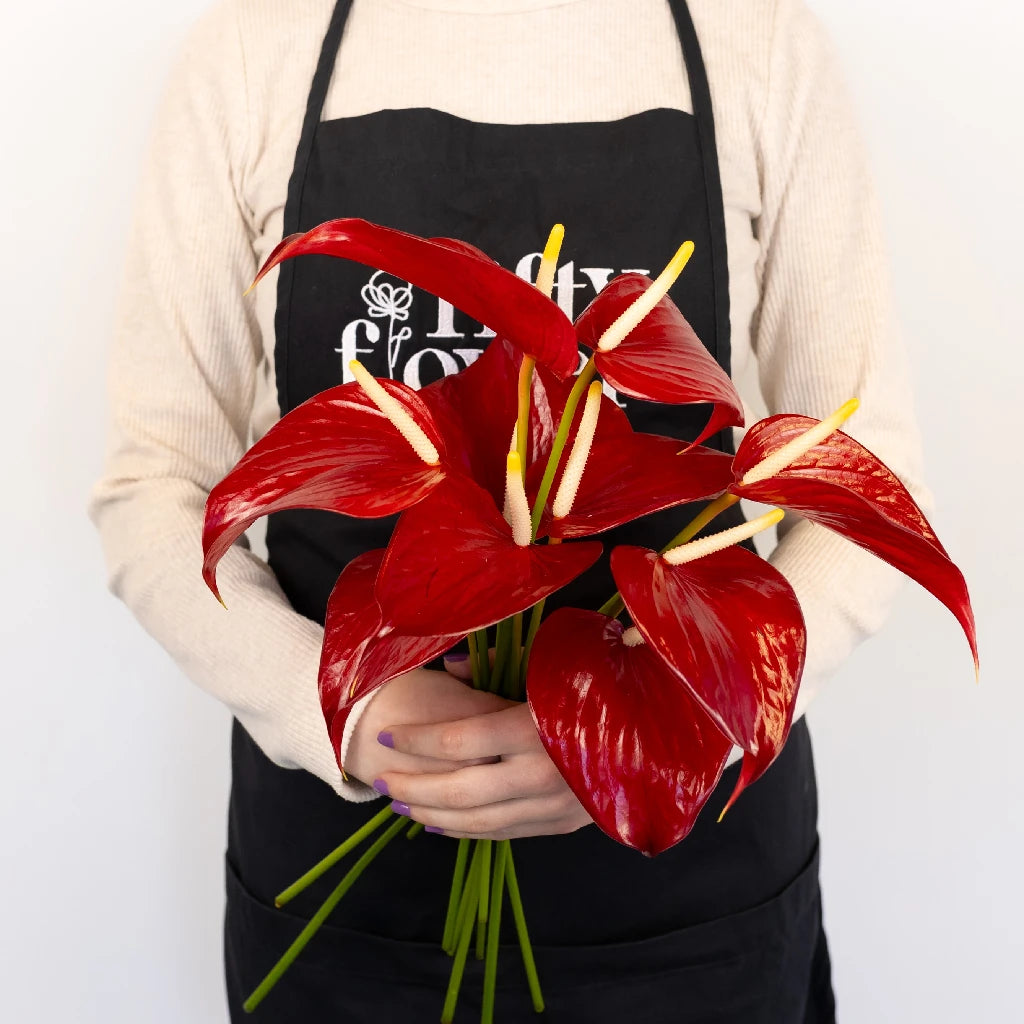 Anthurium Red - Exotic Tropical Flower for Home Decor, Wedding Bouquets & Gift Ideas | Perfect for Indoor Plants, Floral Arrangements & Party Centerpieces