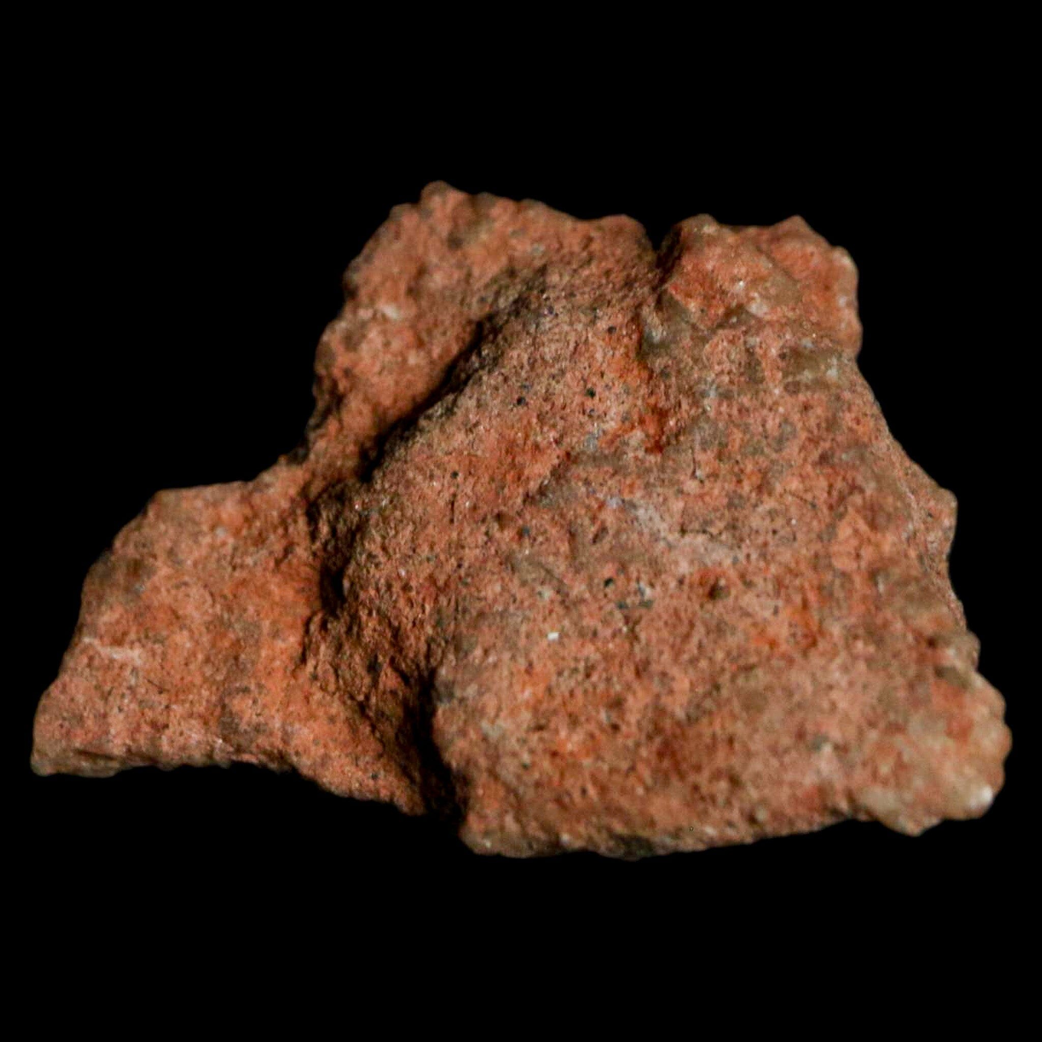 Authentic 0.7 Megaloolithus Titanosaur Dinosaur Fossil Egg Shell from Bouches-du-Rhône, France - Rare Collectible Display Piece for Paleontology Enthusiasts & Home Decor