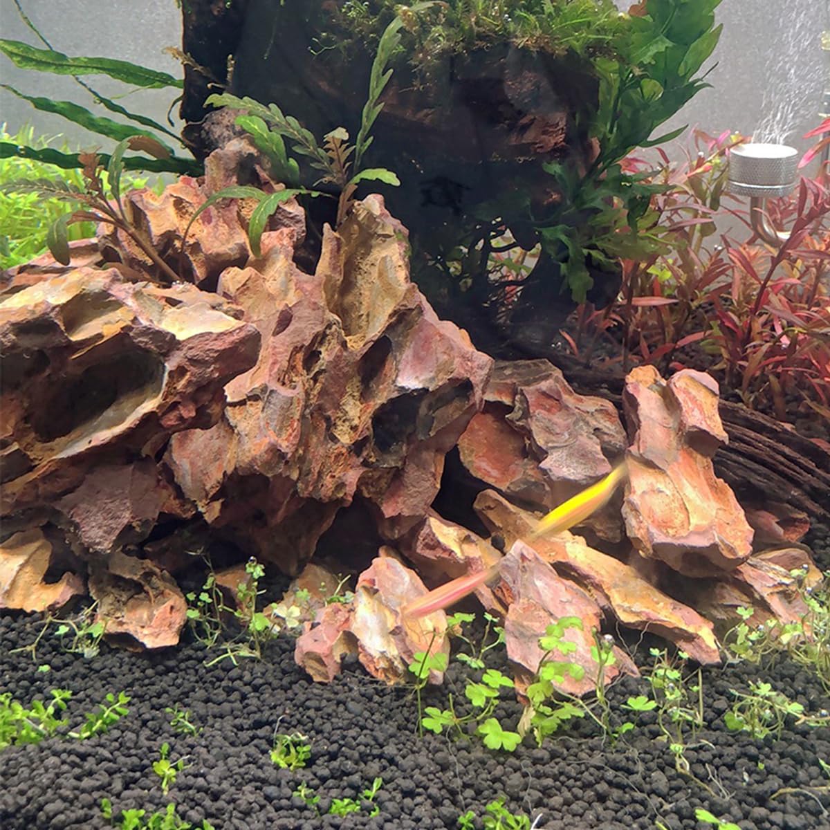 Natural Dragon Stone Aquarium Rocks - 10lb Mixed Sizes for Aquascaping, Fish Tank Decoration & Micro Landscapes | Perfect for Freshwater Shrimp Tanks, Betta Habitats & Zen Water Features